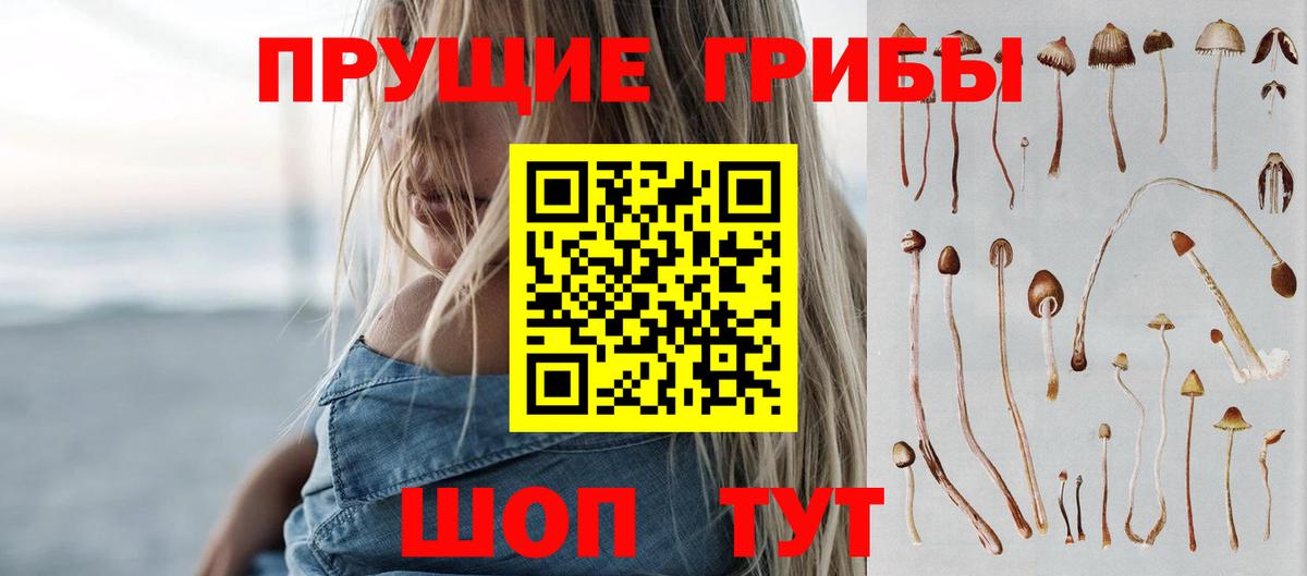 Псилоцибиновые грибы прущие грибы  Вход с VPN  Мценск  Галлюциногенные грибы мухоморы 